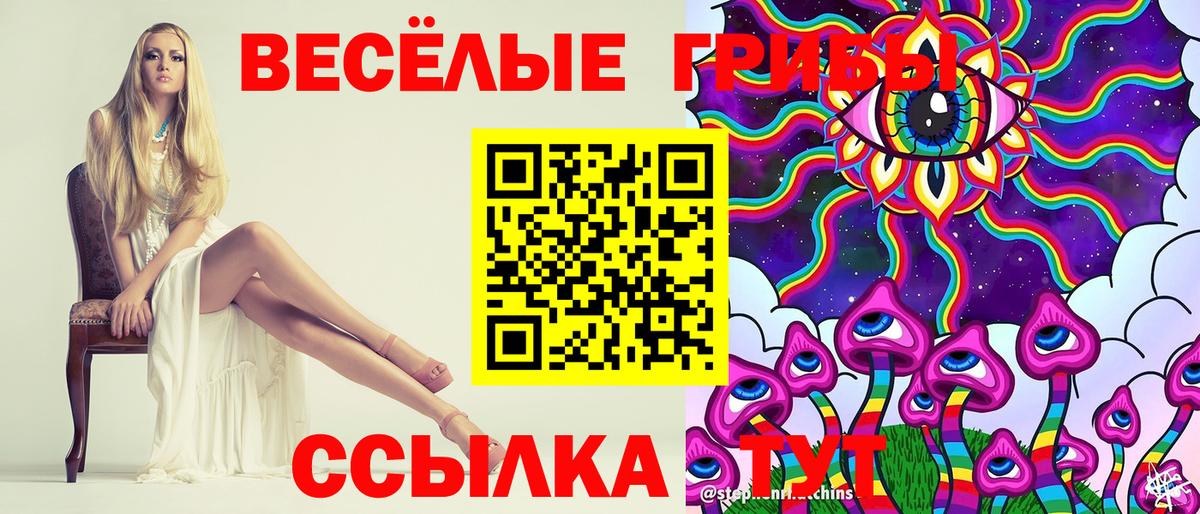 Галлюциногенные грибы прущие грибы  Вход с VPN  Корсаков 